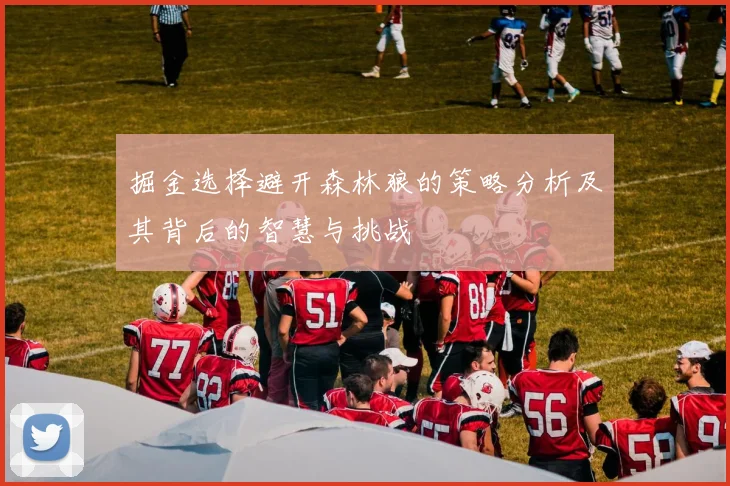 掘金选择避开森林狼的策略分析及其背后的智慧与挑战