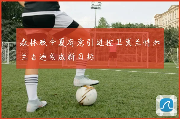 森林狼今夏有意引进控卫莫兰特加兰吉迪或成新目标