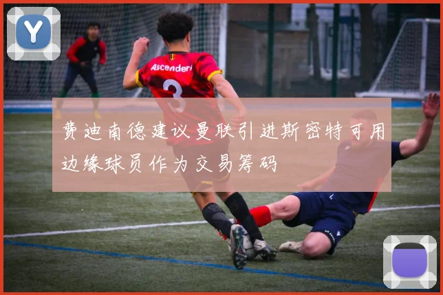 费迪南德建议曼联引进斯密特可用边缘球员作为交易筹码